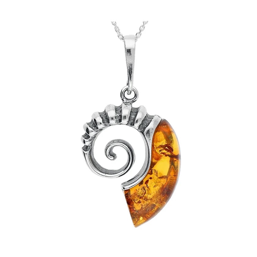 Baltic Amber Ammonite Pendant (Sterling Silver)