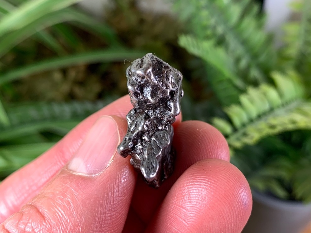 Campo del Cielo Meteorite (19g) #09