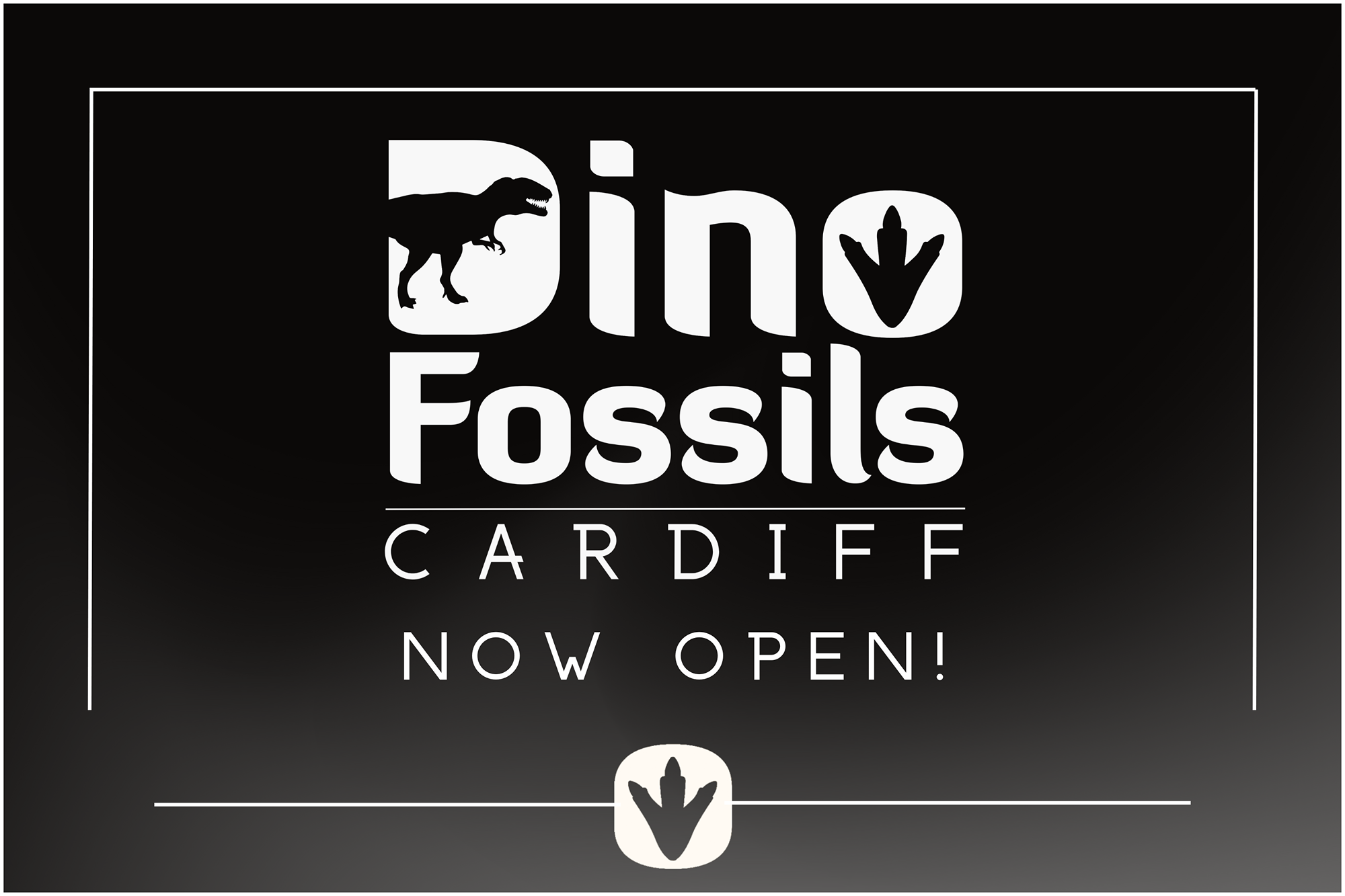 Dino Fossils UK Huge Selection of Fossils For Sale
