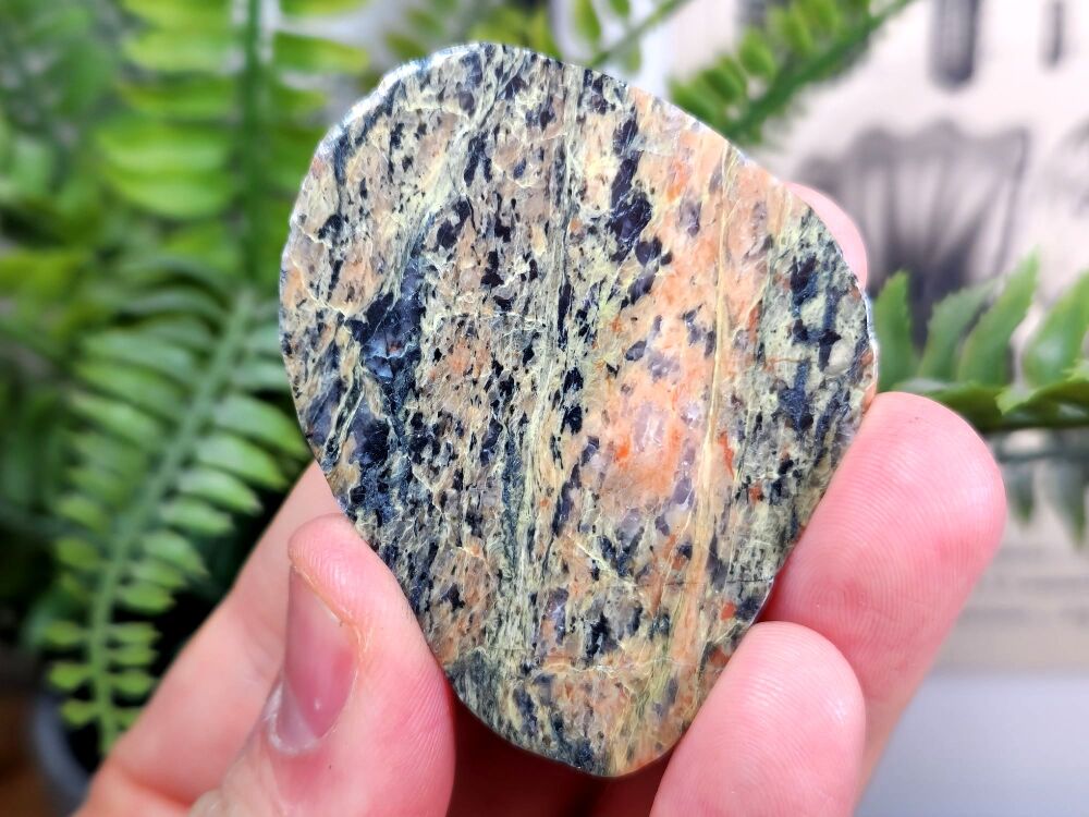 Britain's Oldest Rock, Lewisian Gneiss (Scotland) #01