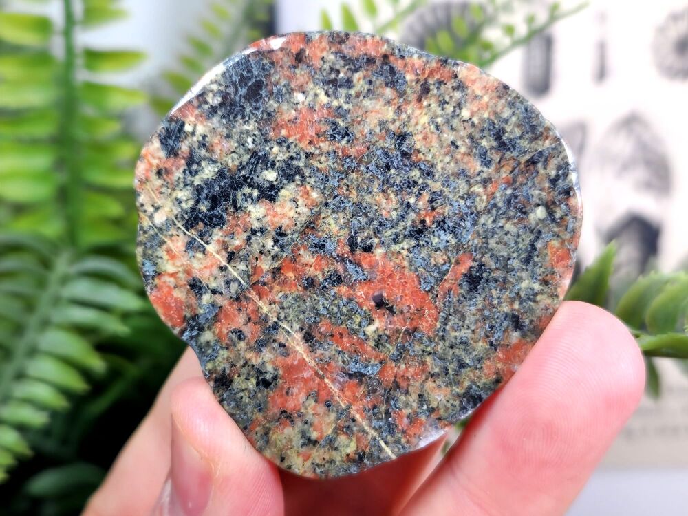 Britain's Oldest Rock, Lewisian Gneiss (Scotland) #02