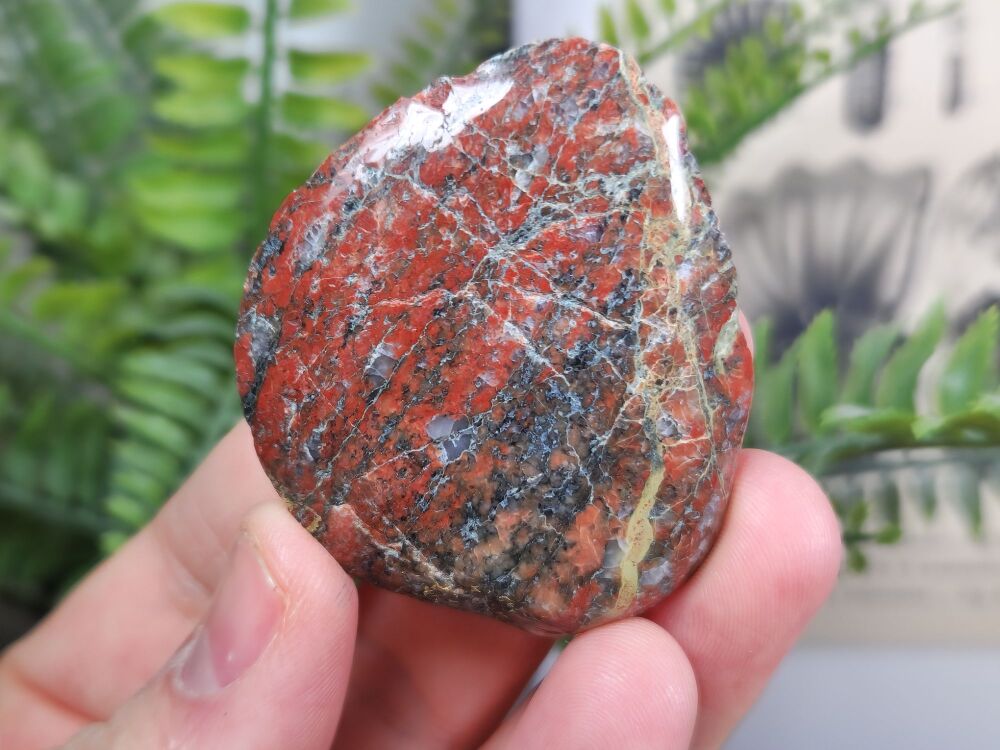 Britain's Oldest Rock, Lewisian Gneiss (Scotland) #03