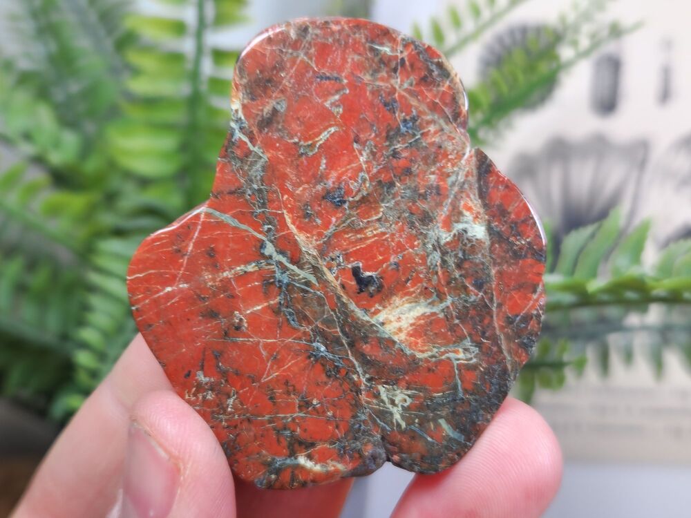 Britain's Oldest Rock, Lewisian Gneiss (Scotland) #04
