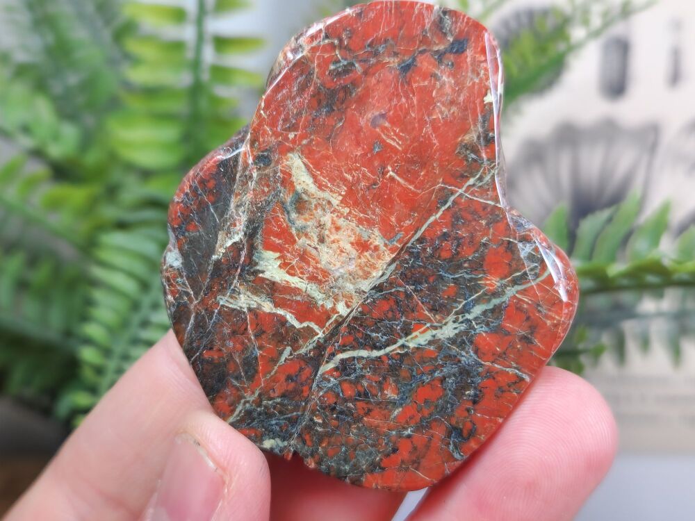Britain's Oldest Rock, Lewisian Gneiss (Scotland) #04