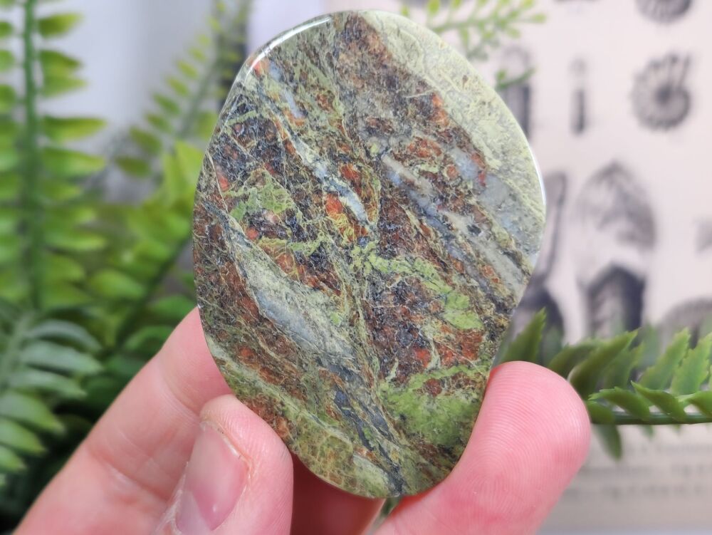 Britain's Oldest Rock, Lewisian Gneiss (Scotland) #05
