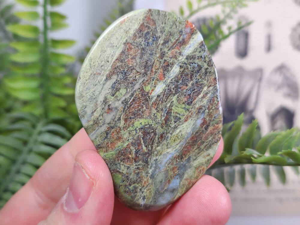 Britain's Oldest Rock, Lewisian Gneiss (Scotland) #05
