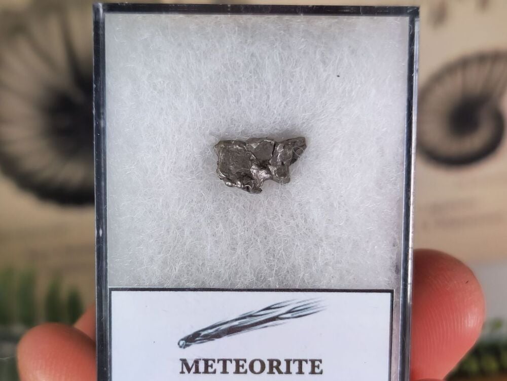 Campo del Cielo Meteorite #01