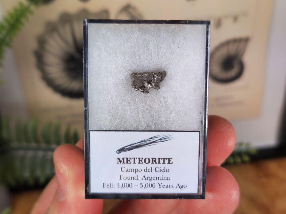 Campo del Cielo Meteorite #01