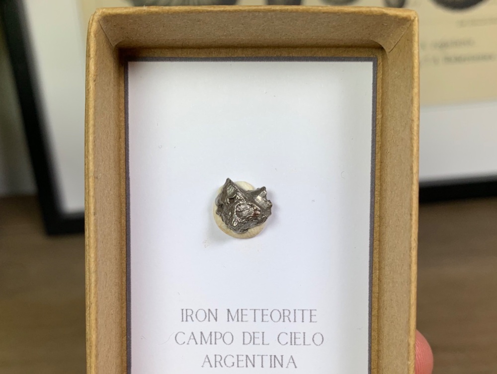 Iron Meteorite (Campo del Cielo) #01