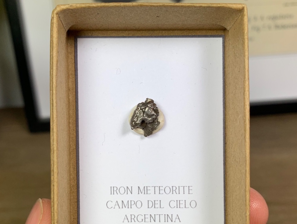 Iron Meteorite (Campo del Cielo) #02