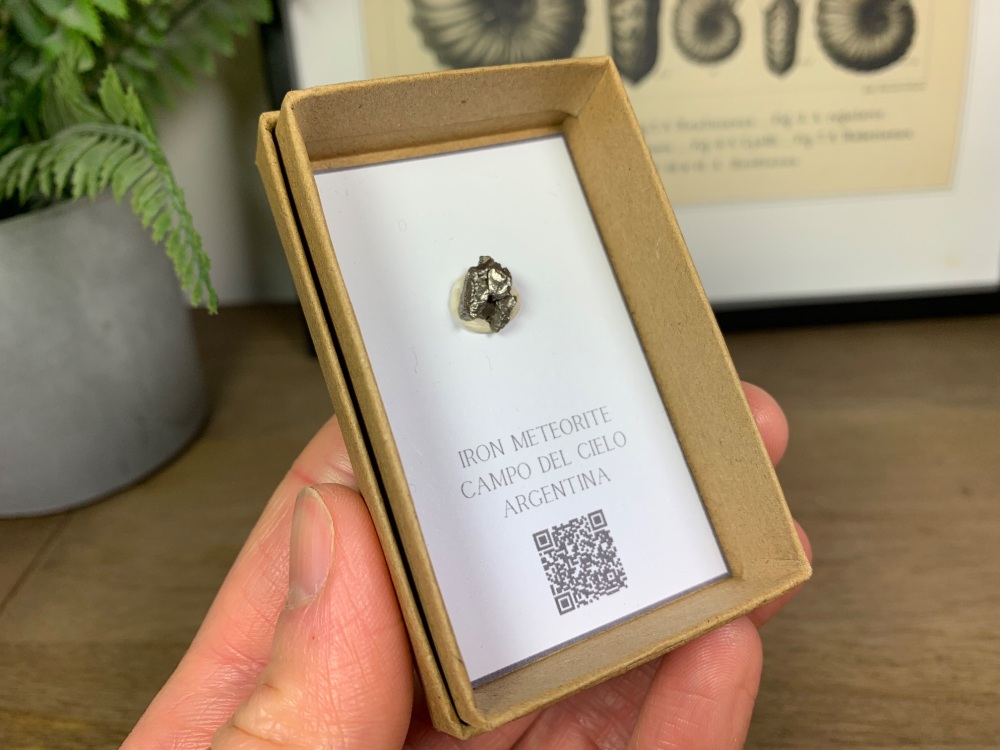 Iron Meteorite (Campo del Cielo) #02