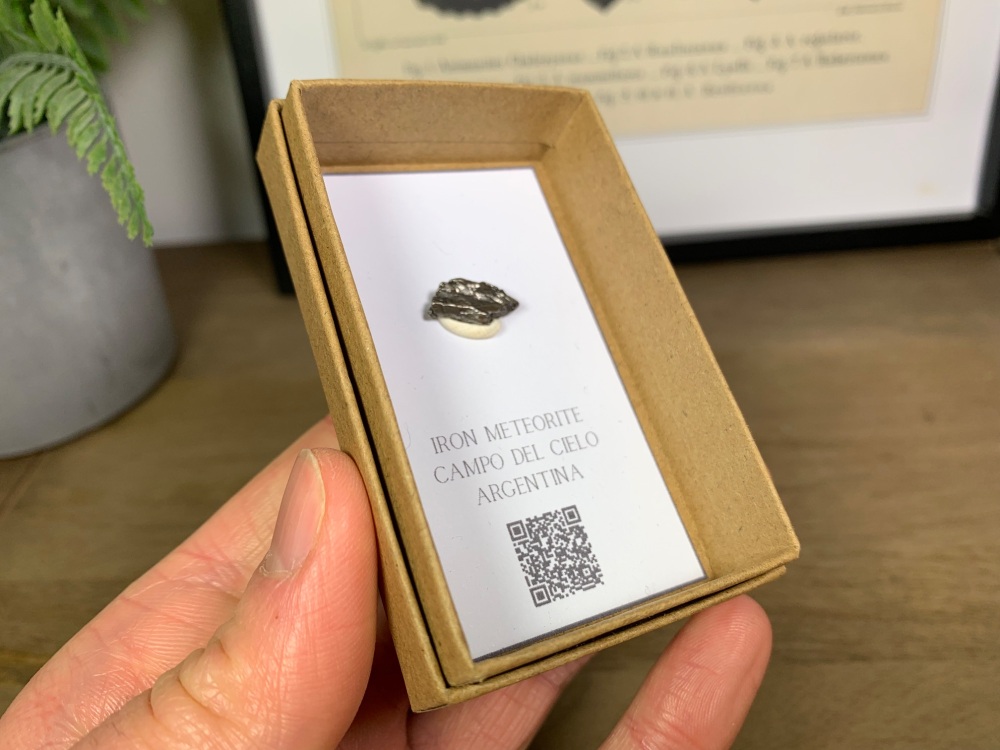 Iron Meteorite (Campo del Cielo) #04