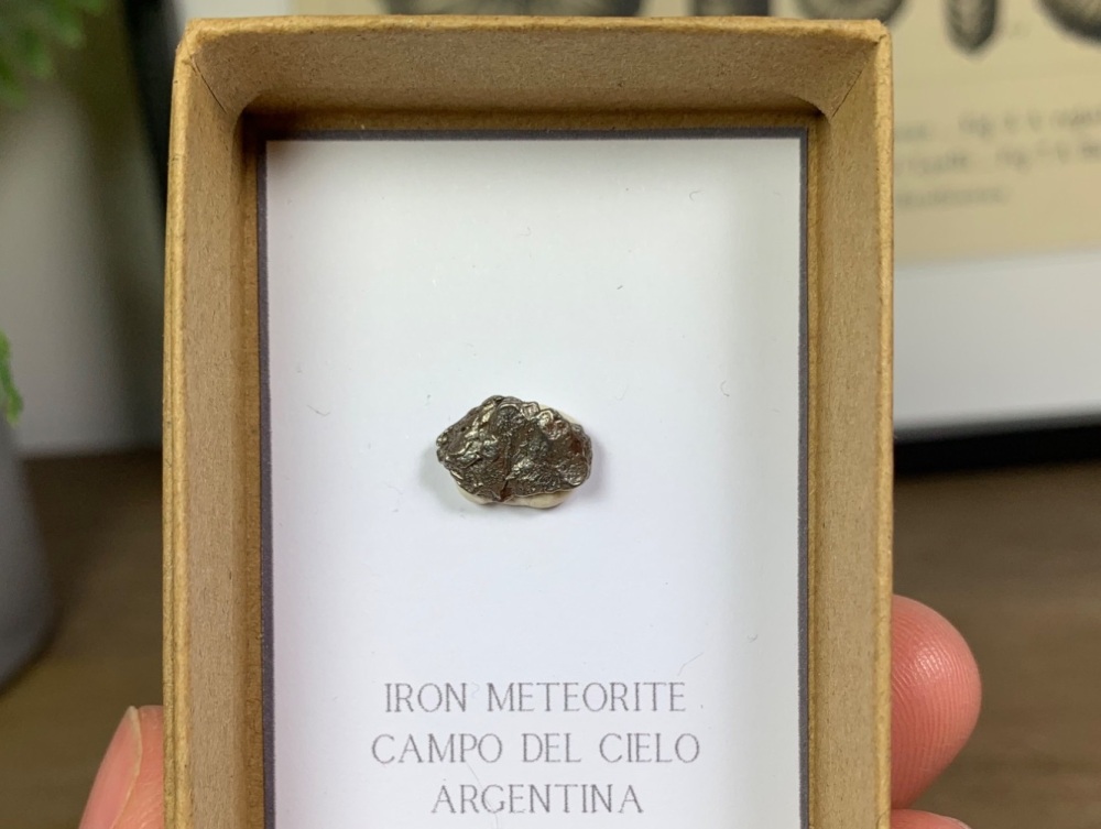 Iron Meteorite (Campo del Cielo) #05