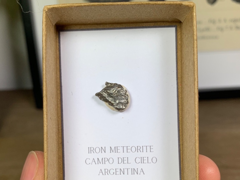Iron Meteorite (Campo del Cielo) #07