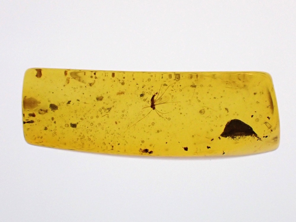 Cretaceous Amber with Diptera (fly) Inclusion #05
