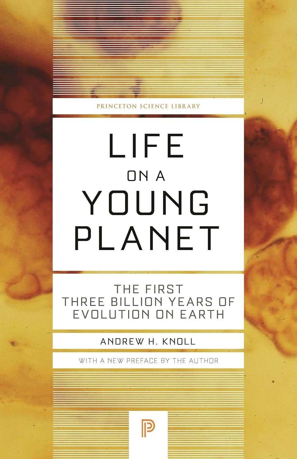 Life on a Young Planet: The First Three Billion Years of Evolution on Earth