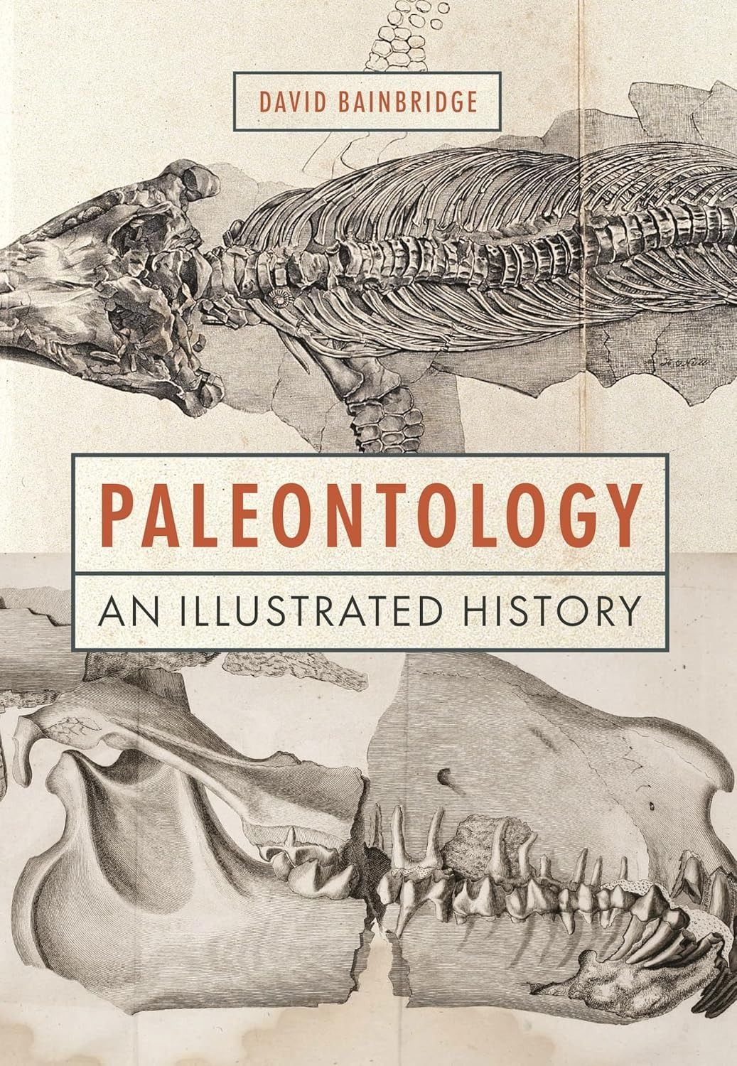 Paleontology: An Illustrated History (Hardcover)