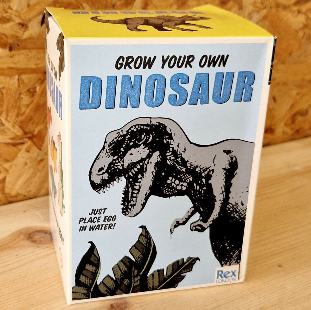 Hatching Dinosaur Egg