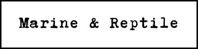 <!-- 002 --> Marine & Reptile Fossils