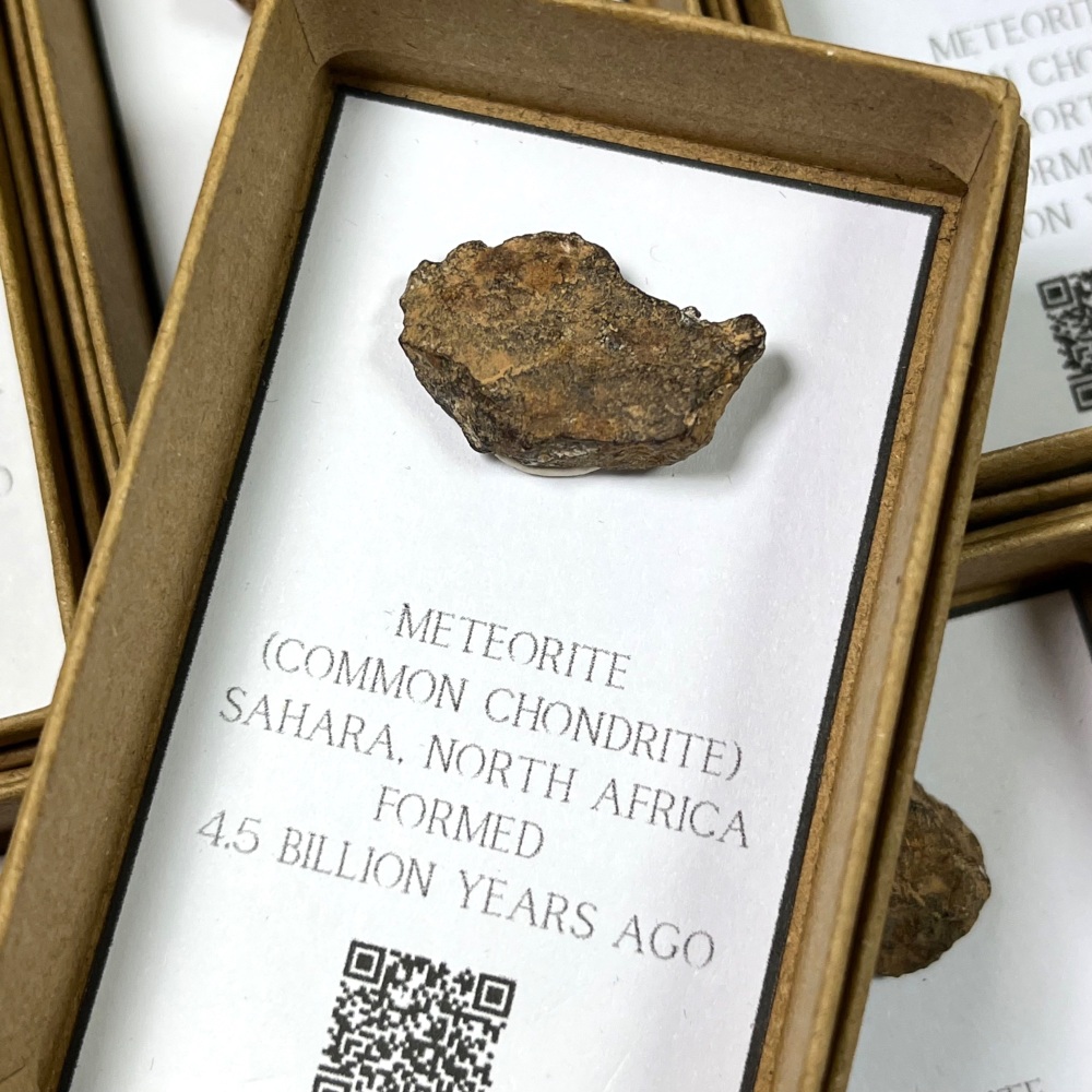 Meteorite (Common Chondrite)