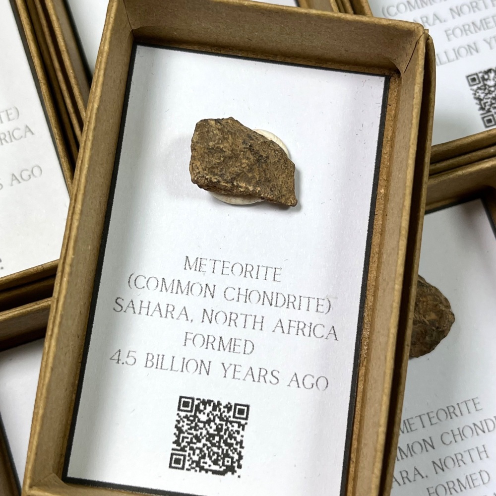 Meteorite (Common Chondrite)