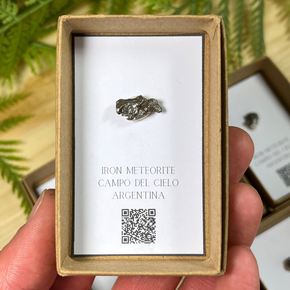 Meteorite (campo del cielo)