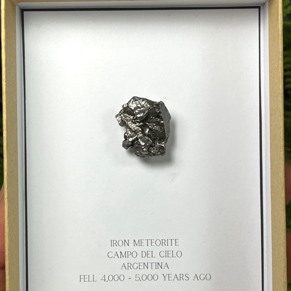 Meteorite (campo del cielo)