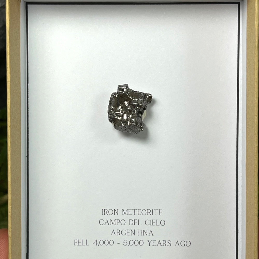 Meteorite (campo del cielo)