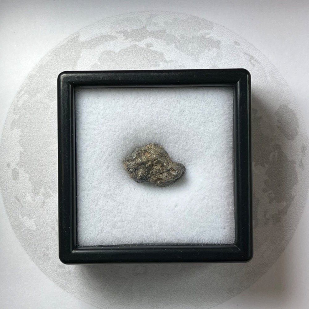 Lunar Meteorite