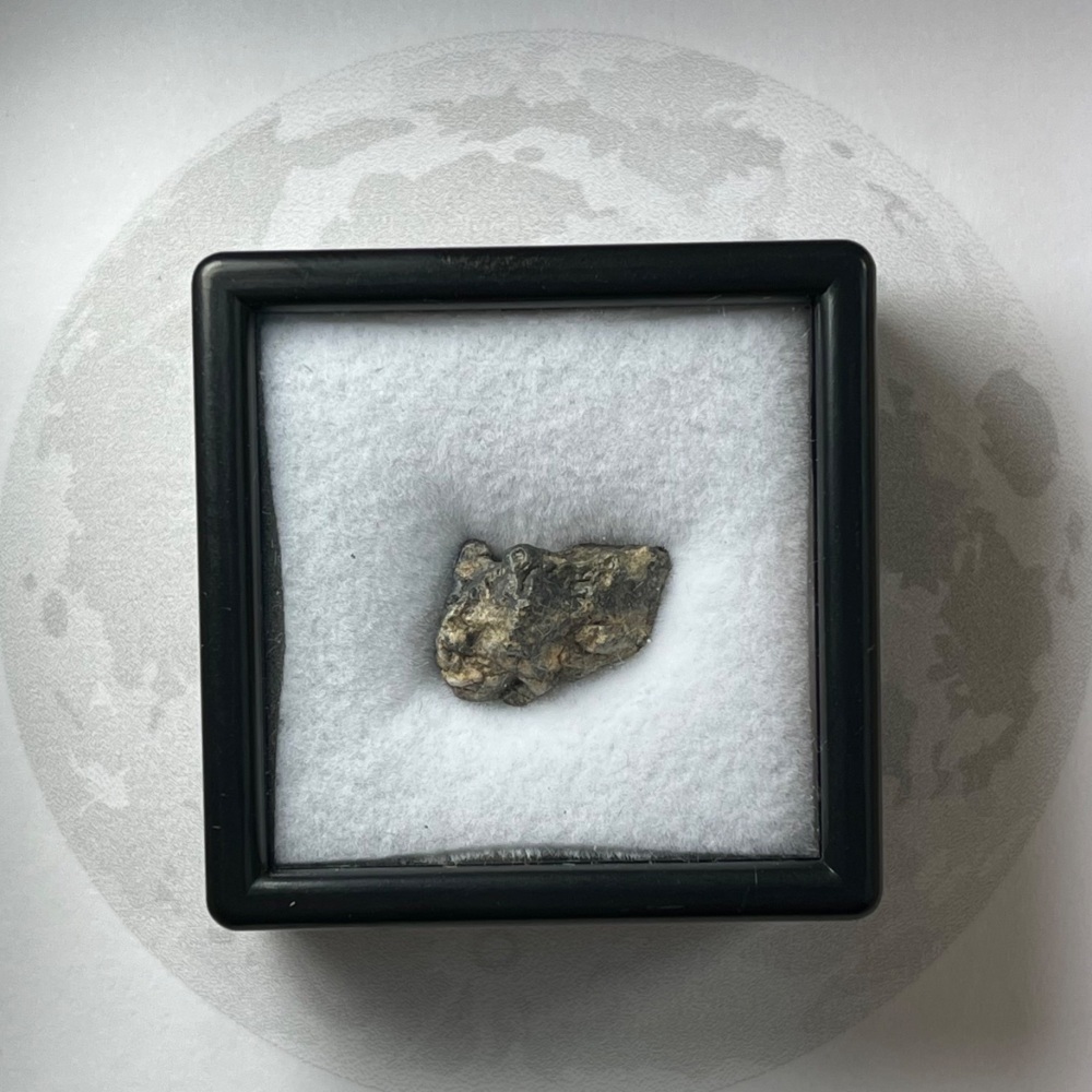 Lunar Meteorite