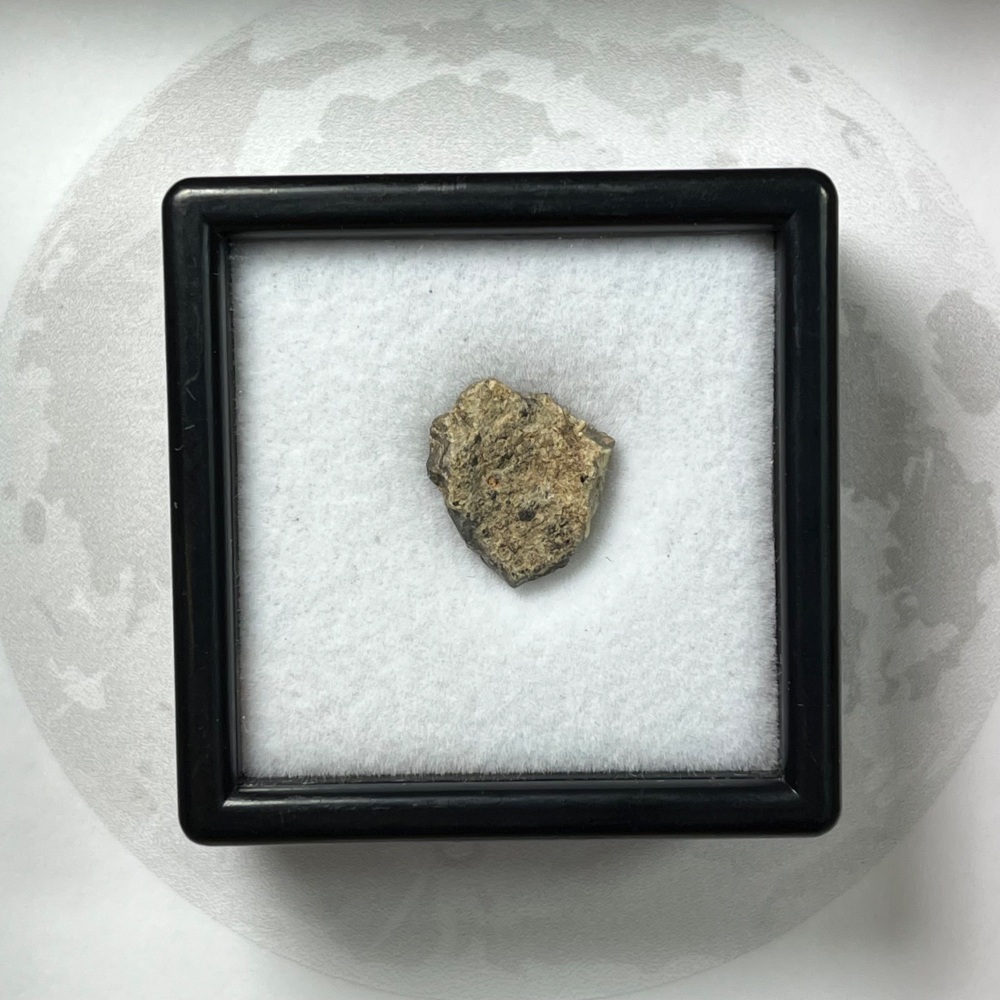Lunar Meteorite