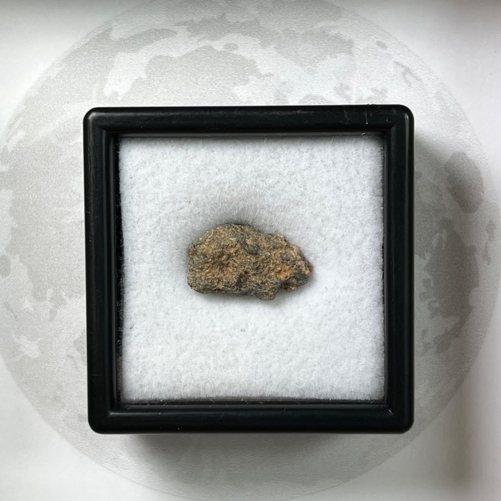 Lunar Meteorite
