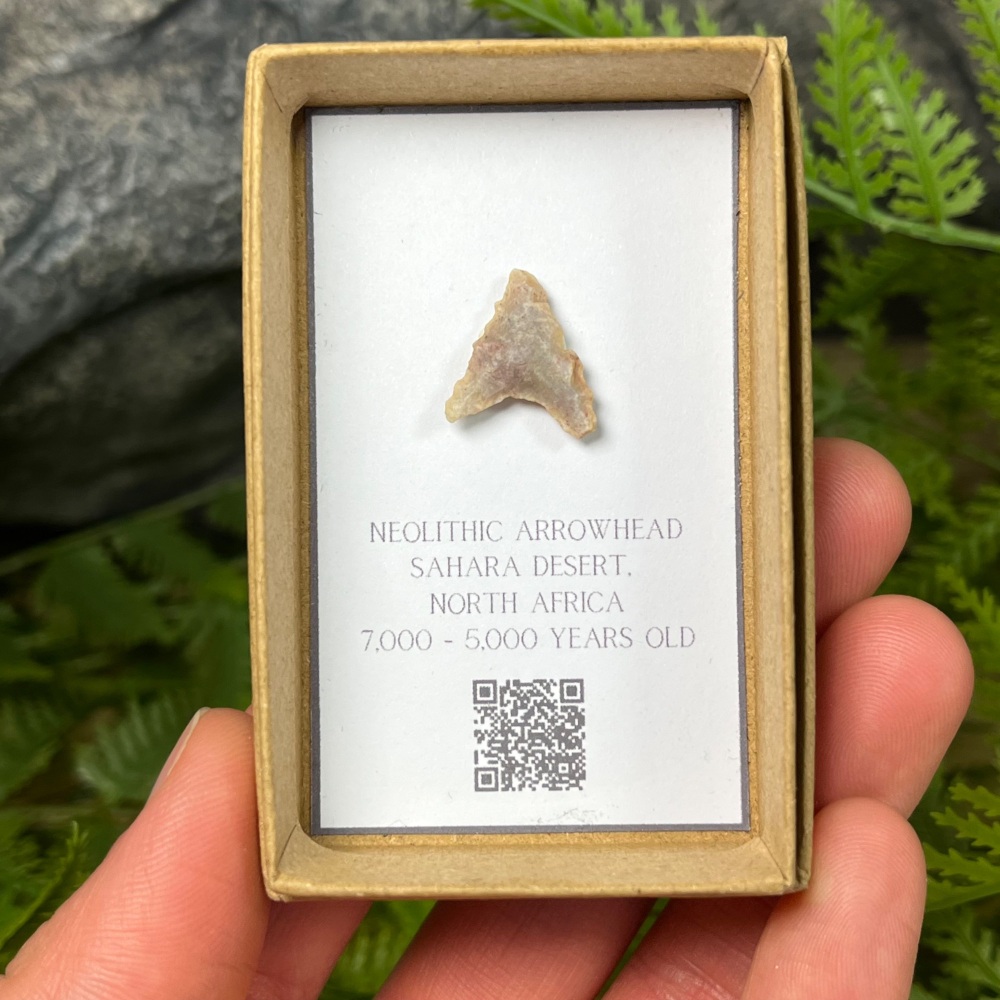 Neolithic Arrowhead