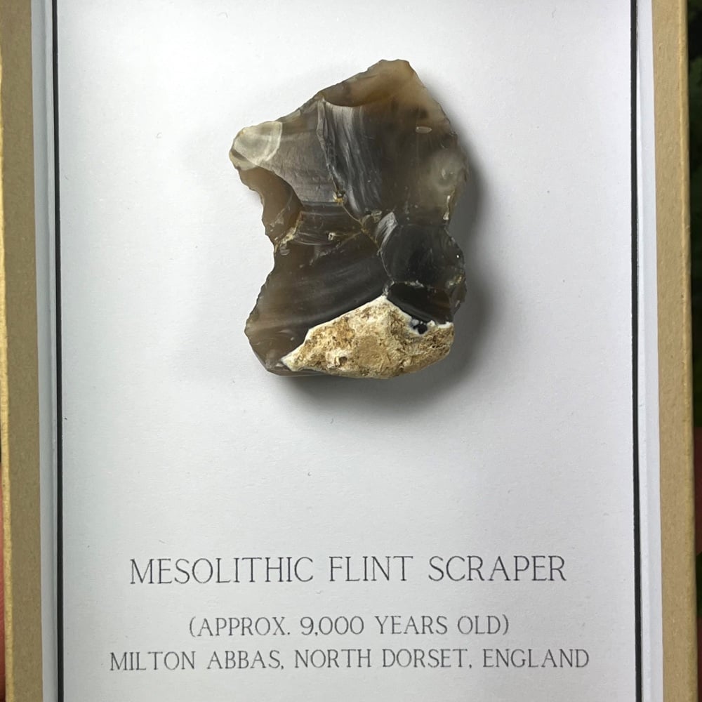 Mesolithic Flint Scraper (Dorset, England)