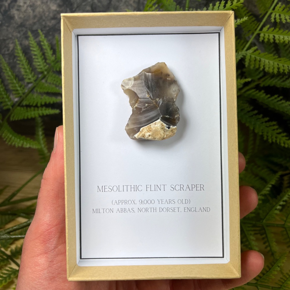 Mesolithic Flint Scraper (Dorset, England)