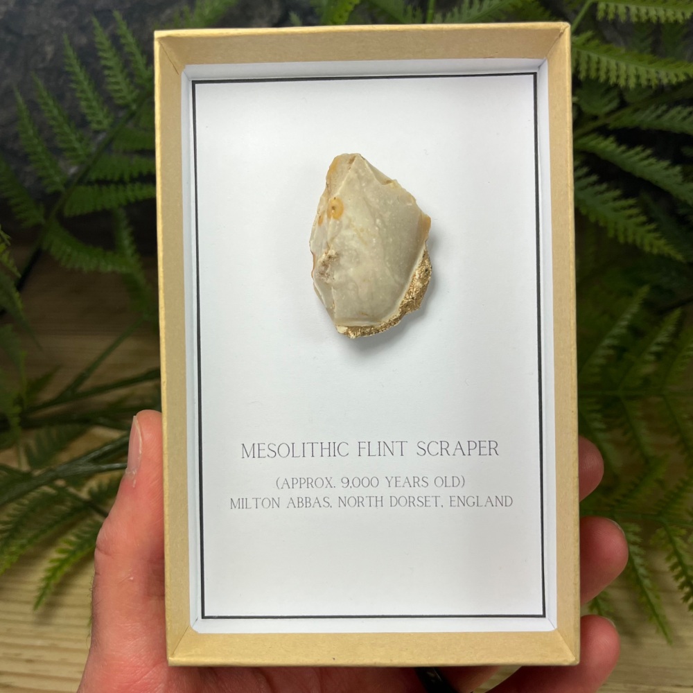 Mesolithic Flint Scraper (Dorset, England)