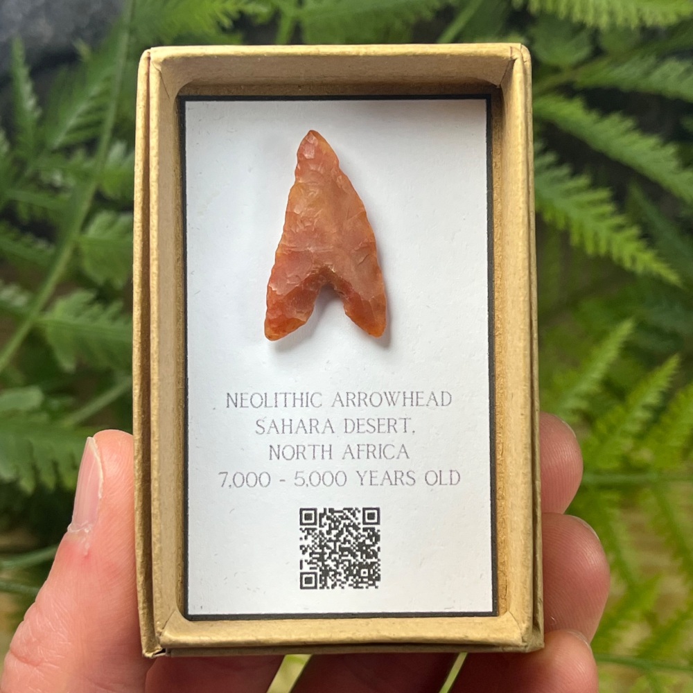 Neolithic Arrowhead