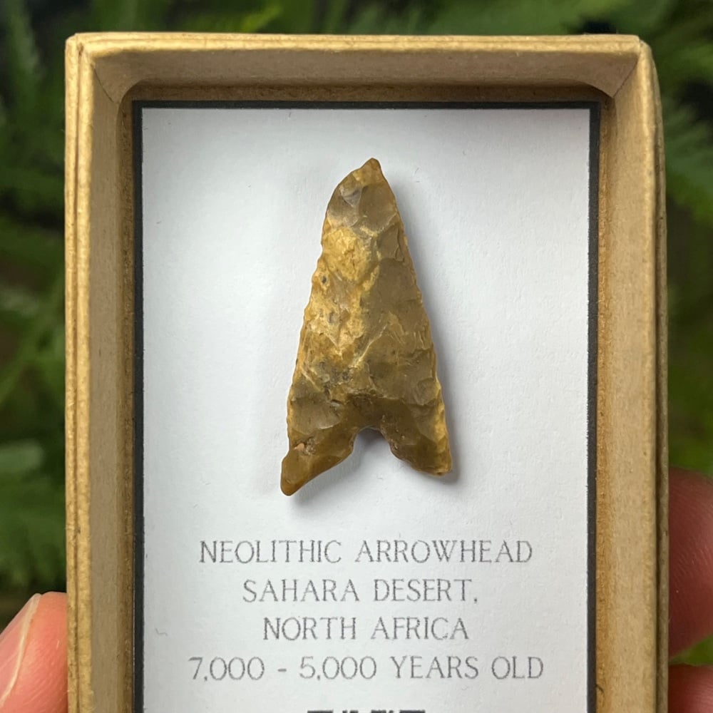 Neolithic Arrowhead