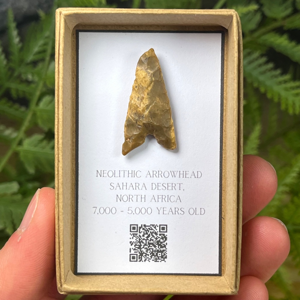 Neolithic Arrowhead