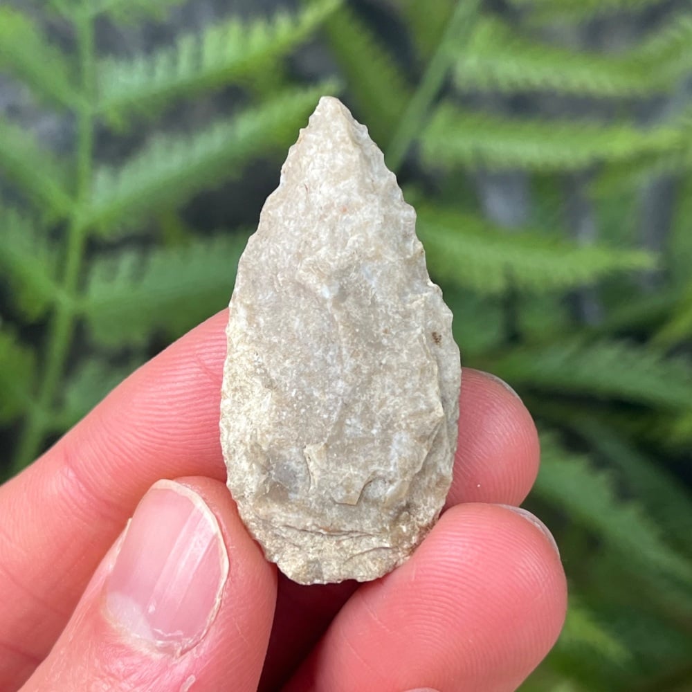 Native American Arrowhead (Texas)