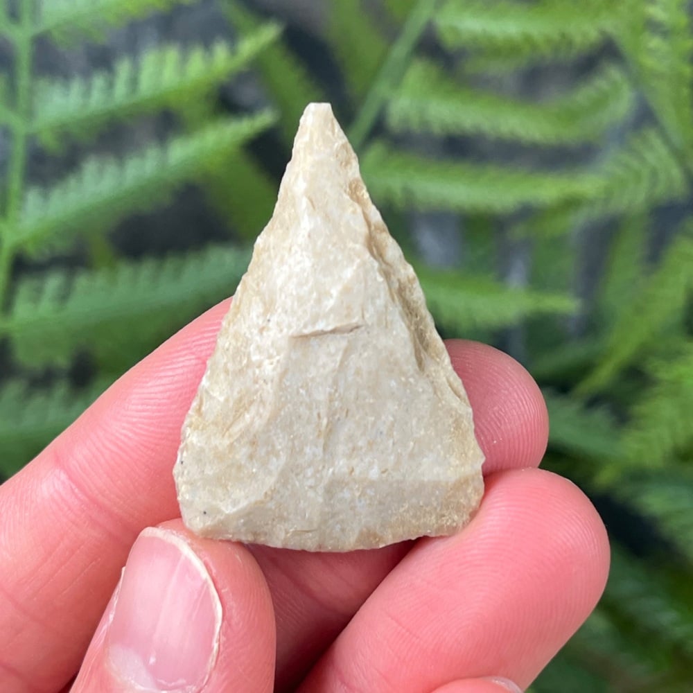 Native American Arrowhead (Texas)