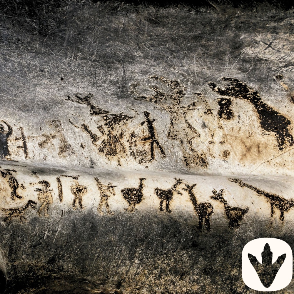 <!-- 004 -->Human History