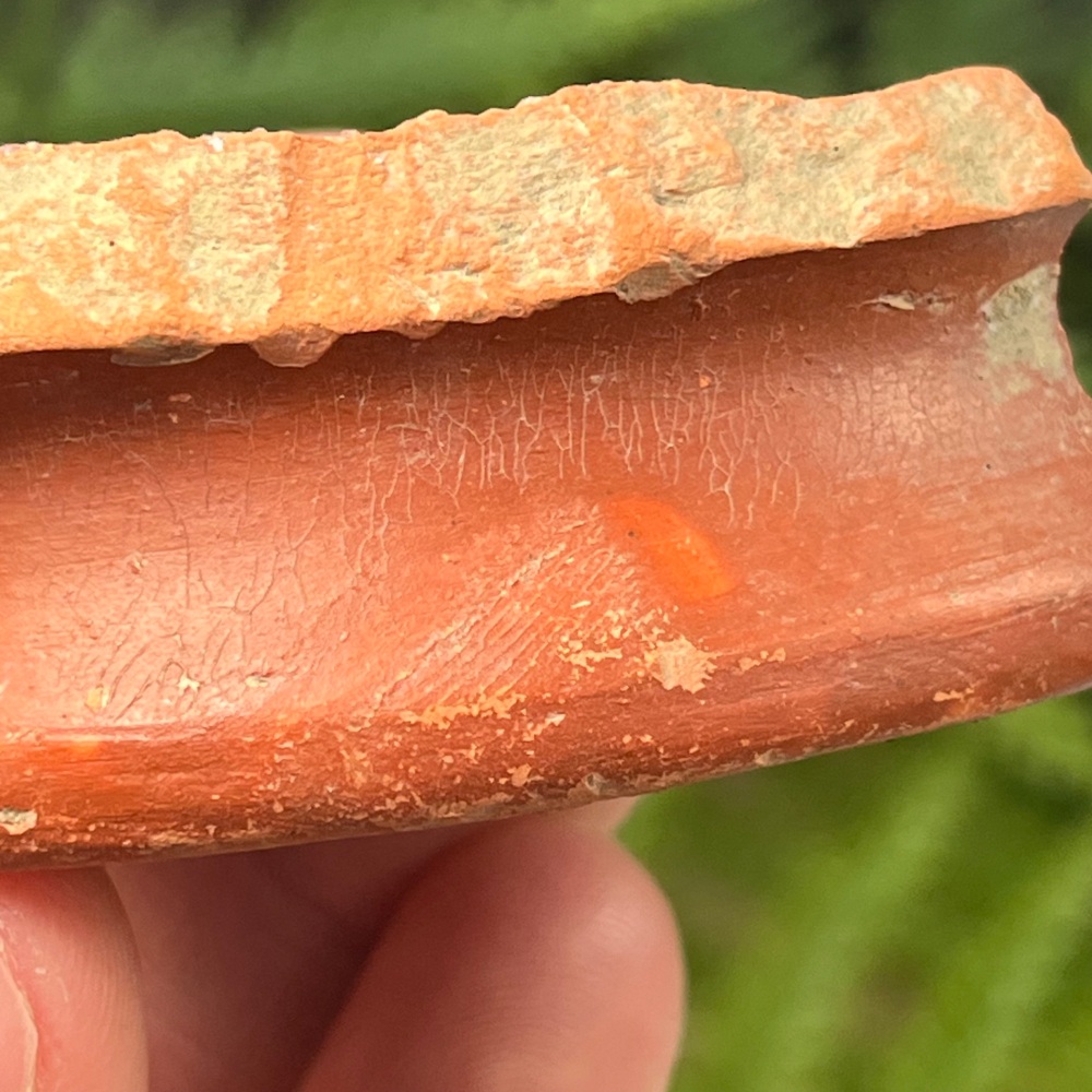 Roman Pottery with Fingerprint (Germany)