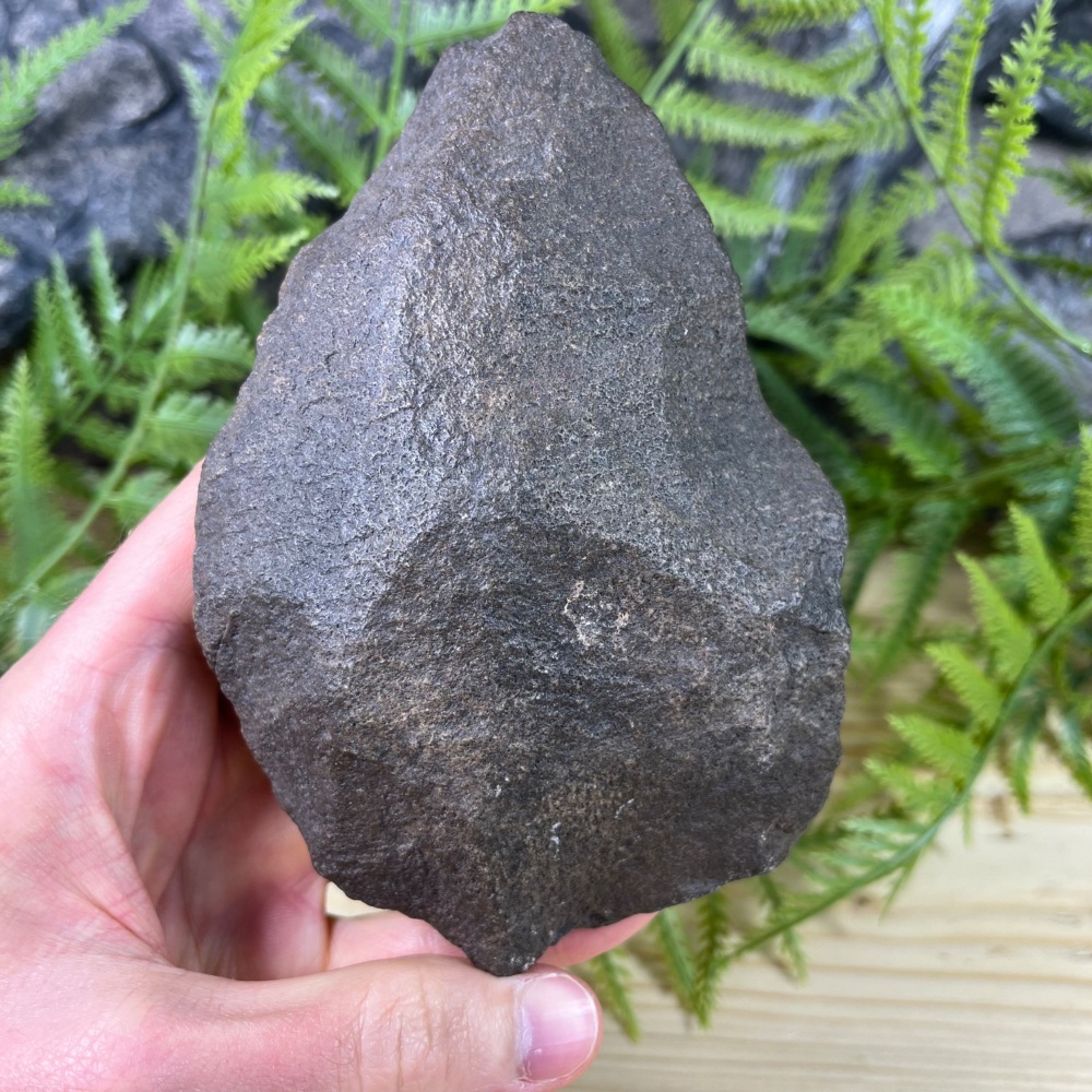 Acheulean hand axe (Homo erectus)