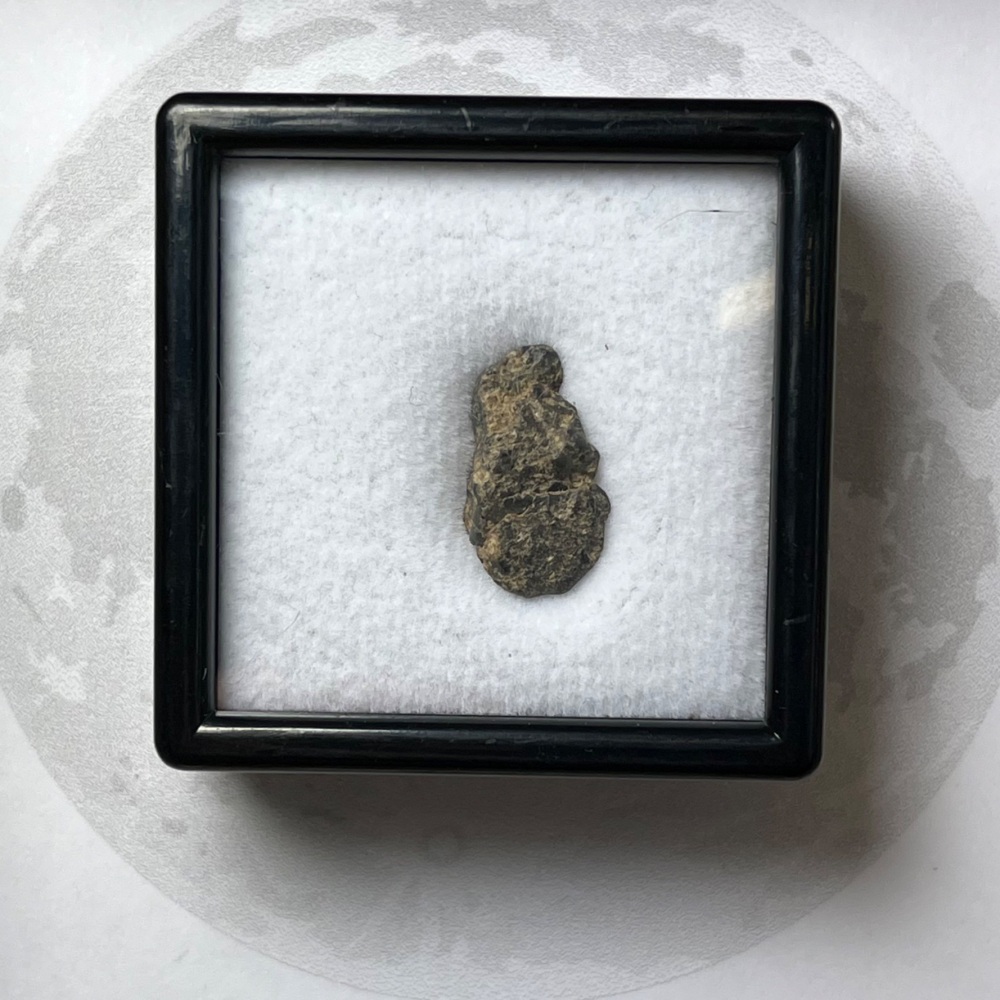 Lunar Meteorite