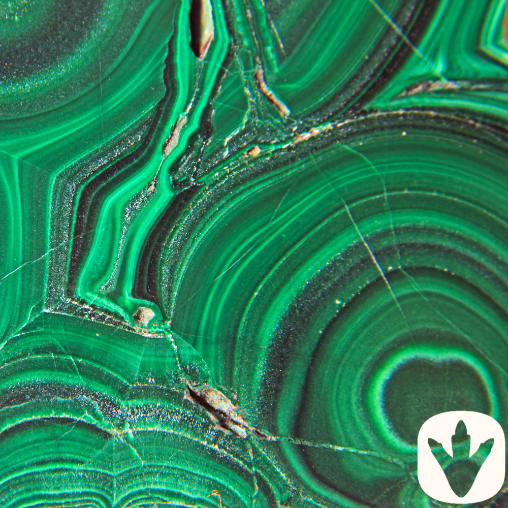 <!-- 005 -->Geo Samples