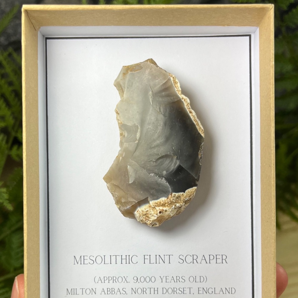 Mesolithic Flint Scraper (Dorset, England)