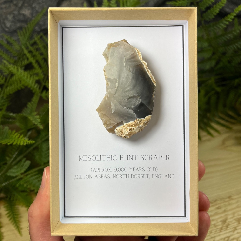Mesolithic Flint Scraper (Dorset, England)