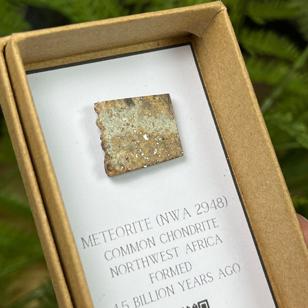Meteorite Slice (NWA 2948)