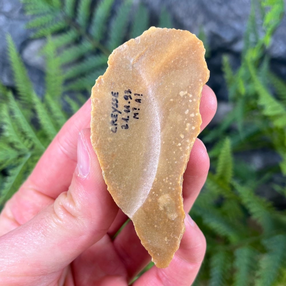Upper Palaeolithic Scraper (France)